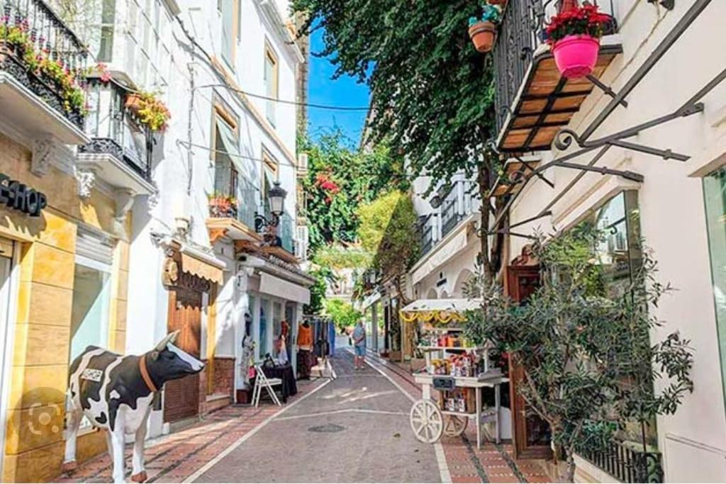 With Private Bathroom In Shared * Marbella
